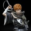 Shop Tsume Tsume Figuren & Statuen | Bleach - Ichigo Kurosaki Buste / M.U.B: Tsume