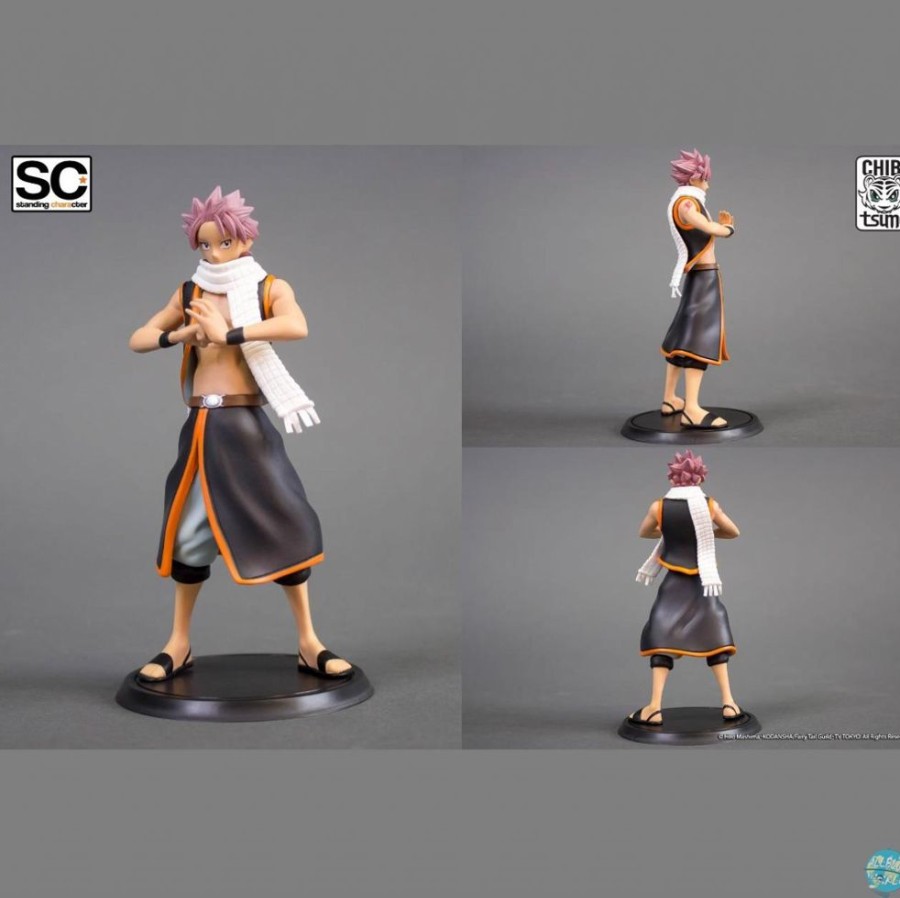 Shop Tsume Tsume Figuren & Statuen | Fairy Tail - Natsu Dragnir Figur - Standing Characters: Tsume